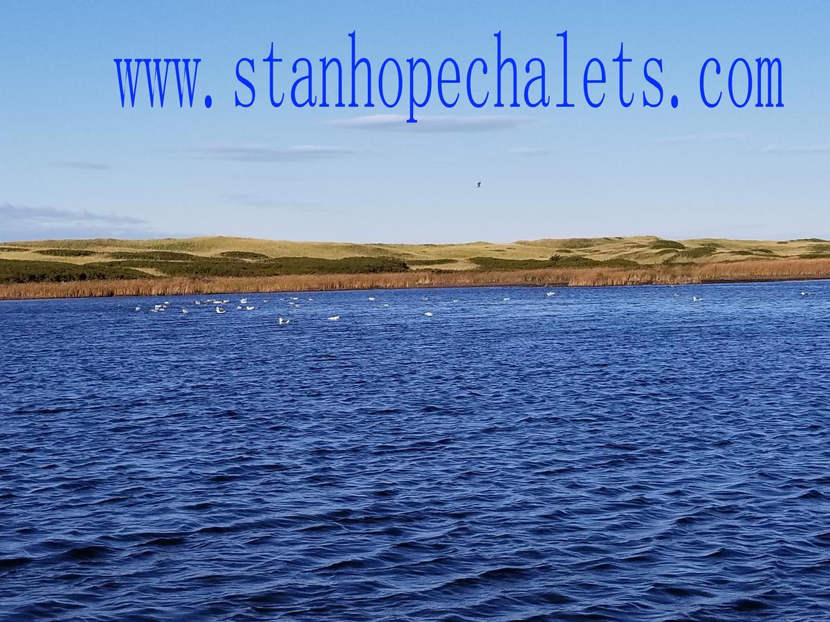 Merry Stanhope Chalets Hotel Esterno foto